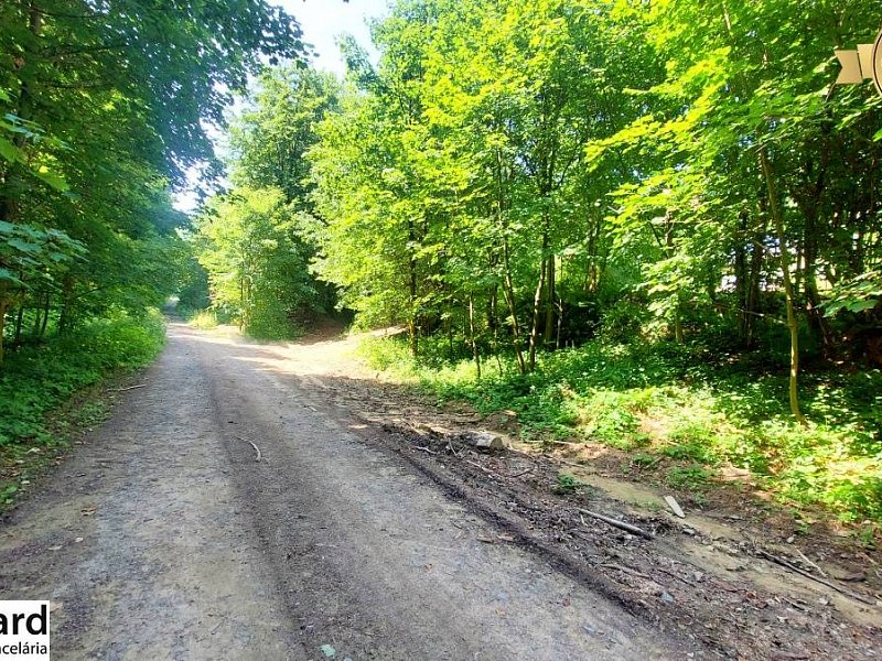 NA PREDAJ CHATKA PRIAMO V LESE, okr. BARDEJOV 