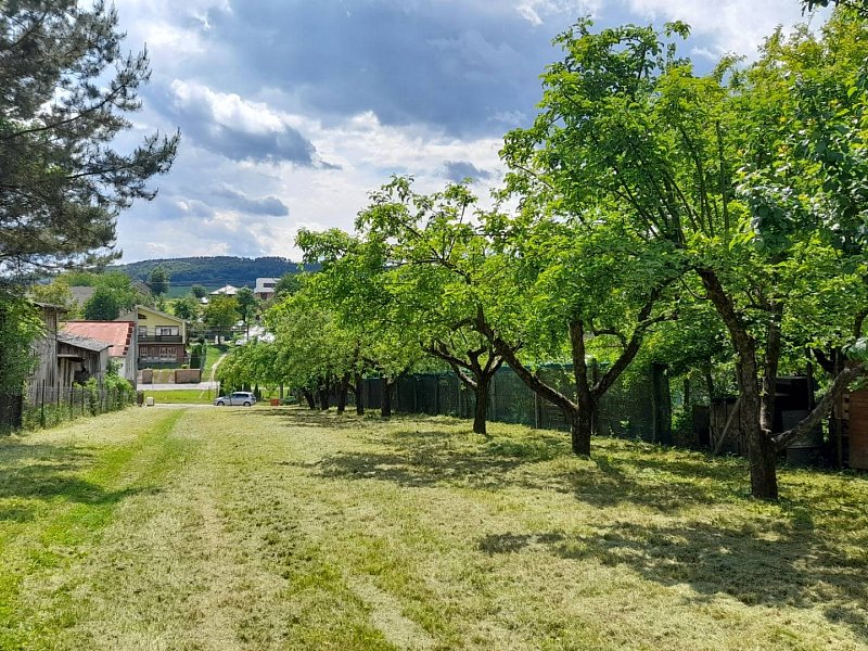 ZNÍŽENA CENA, POZEMOK v STREDE MEDZAN, 1351 m2, VHODNÝ NA VÝSTAVBU RD.