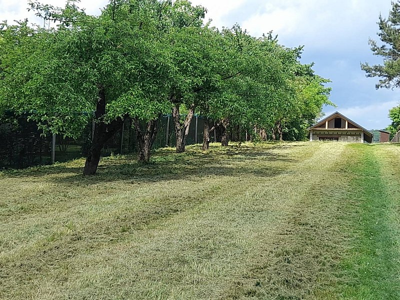 ZNÍŽENA CENA, POZEMOK v STREDE MEDZAN, 1351 m2, VHODNÝ NA VÝSTAVBU RD.