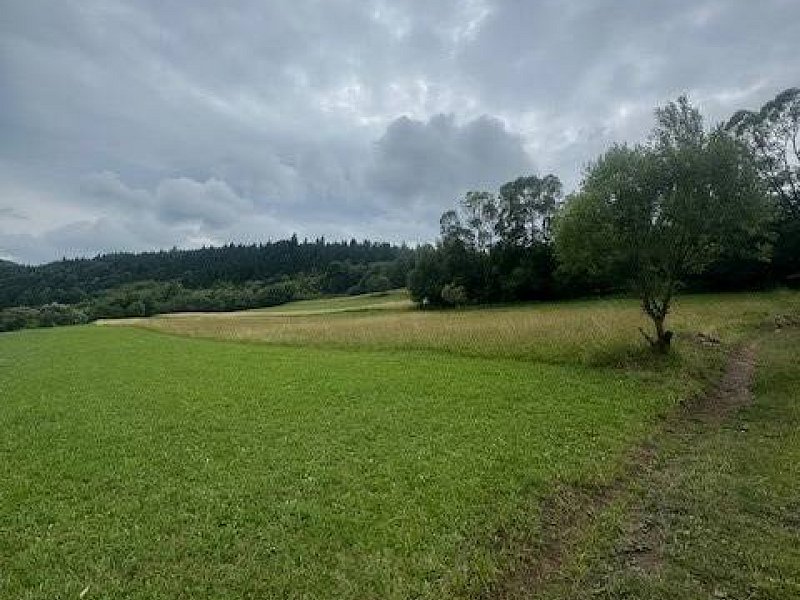 Pozemok Haligovce