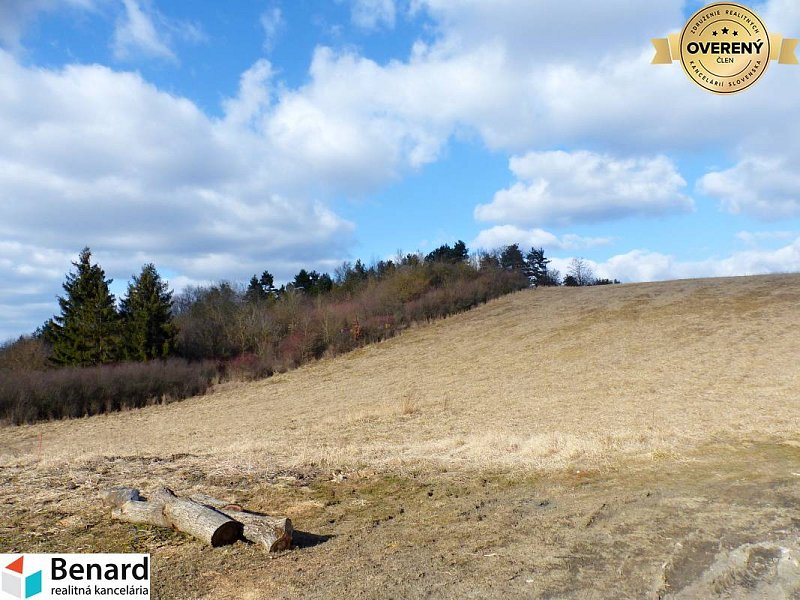 NA PRENÁJOM ALEBO KÚPU POZEMOK VYDUMANEC, 5277M2 PREŠOV