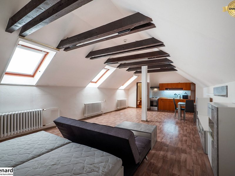 VEĽKÝ 1-IZBOVÝ BYT, 60 m2, PREŠOV – CENTRUM, Slovenská ul.